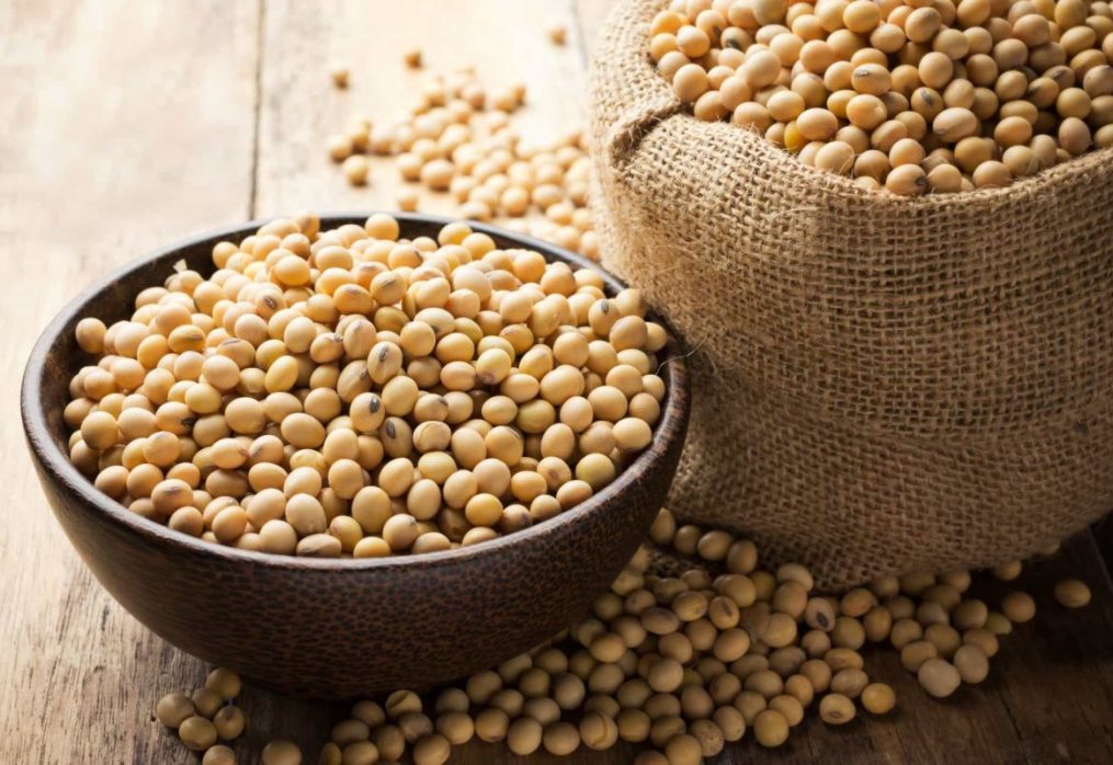 Soybean market in Canada: forecast of crop production for the current season