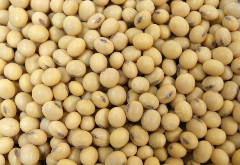 Interest in buying soybeans has increased in the U.S.