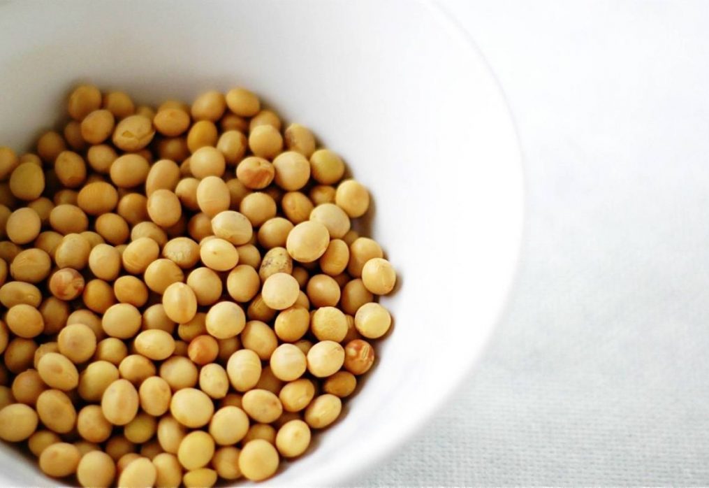 Export of soybeans to the EU will now be subject to new rules