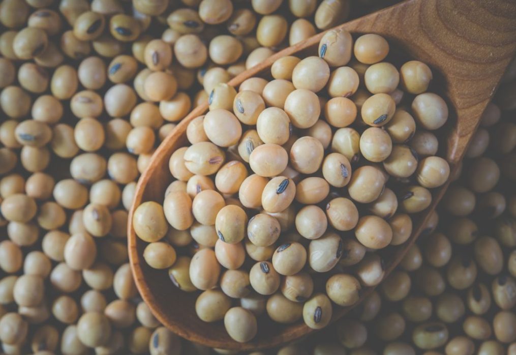 Analysts highlighted the main reasons for the rise in soybean prices in China