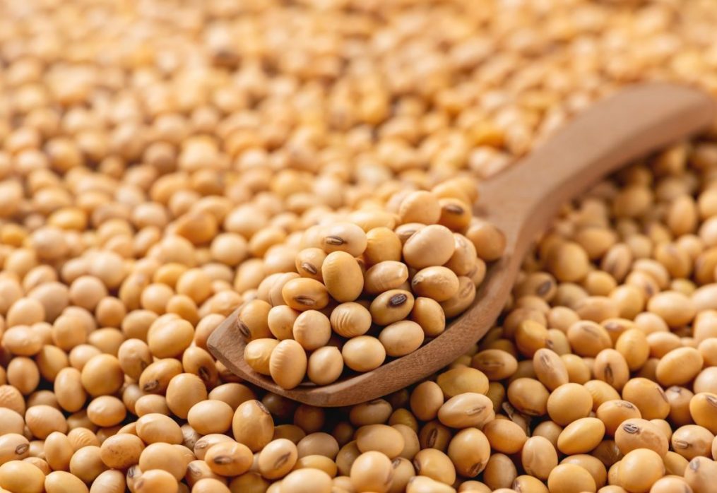 Corteva and Bayer compete for U.S. soybean market