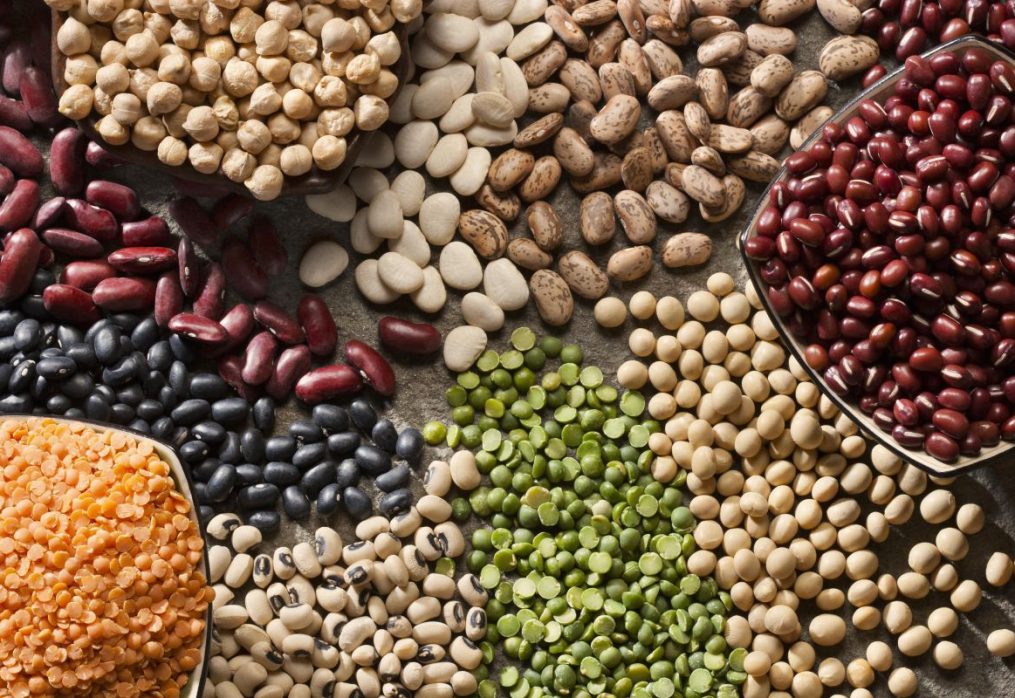 Why you need to increase the cultivation of legumes: research scientists