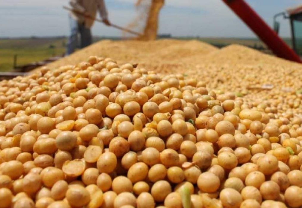 In Argentina, low water levels in the river lead to a reduction in soybean exports