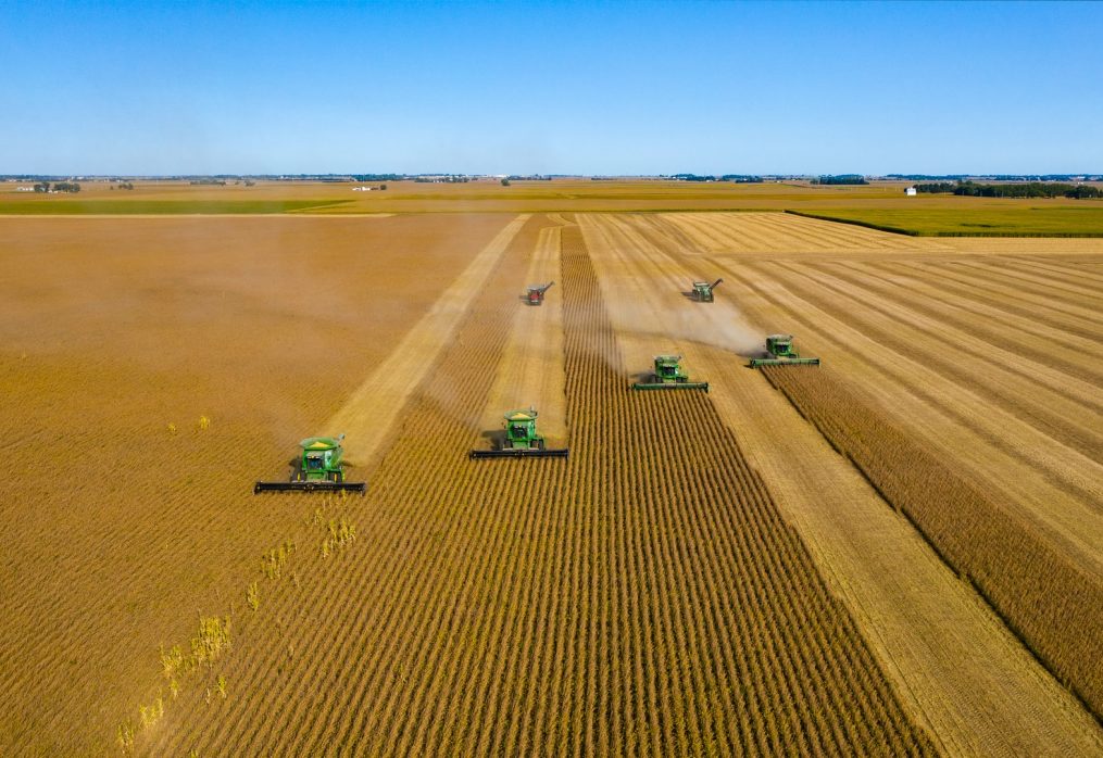 U.S. soybean exports resume after hurricane