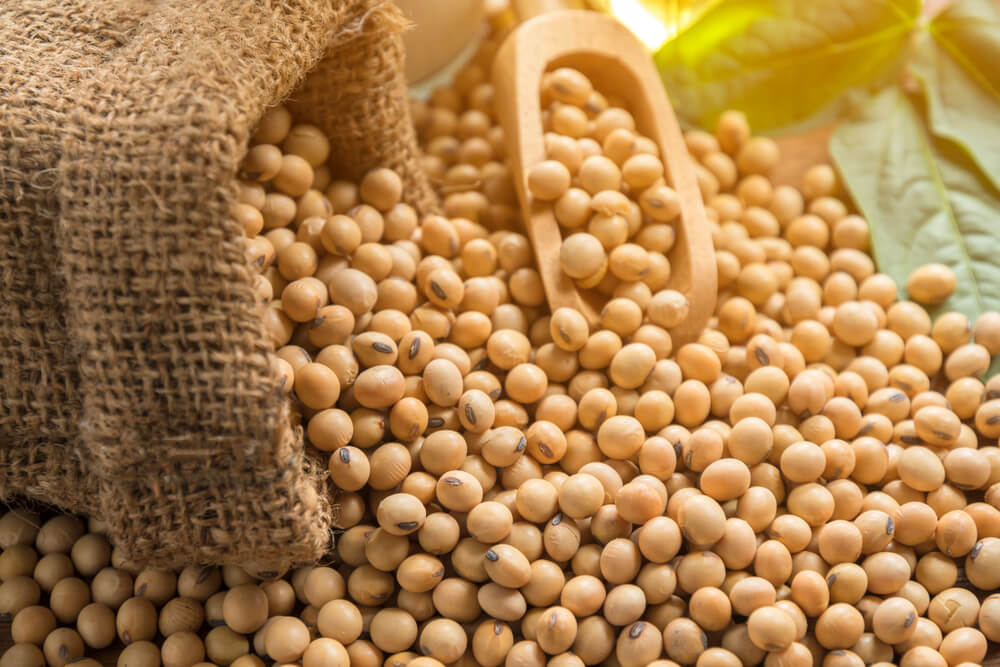 Export shipments of soybeans-2