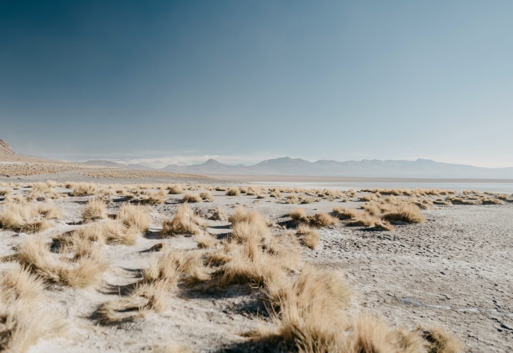 Drought threatens soybean and corn crops in Argentina