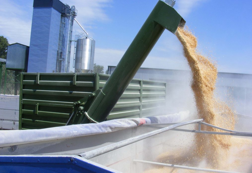 Authorities of Belarus decided to introduce a ban on grain imports