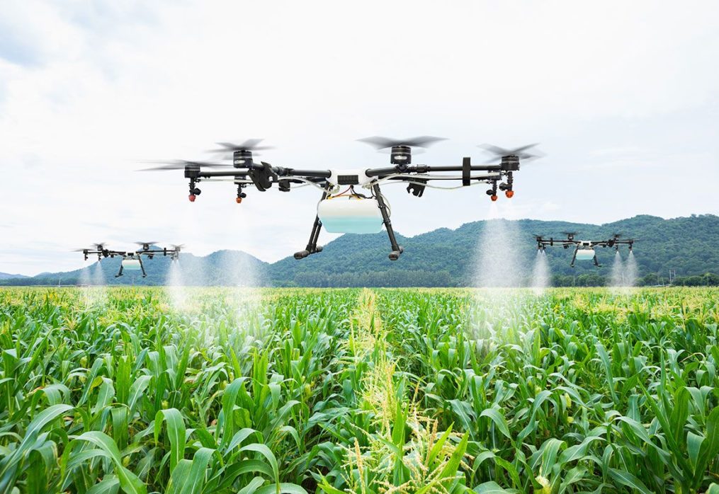 Corn pests can be eradicated thanks to drones