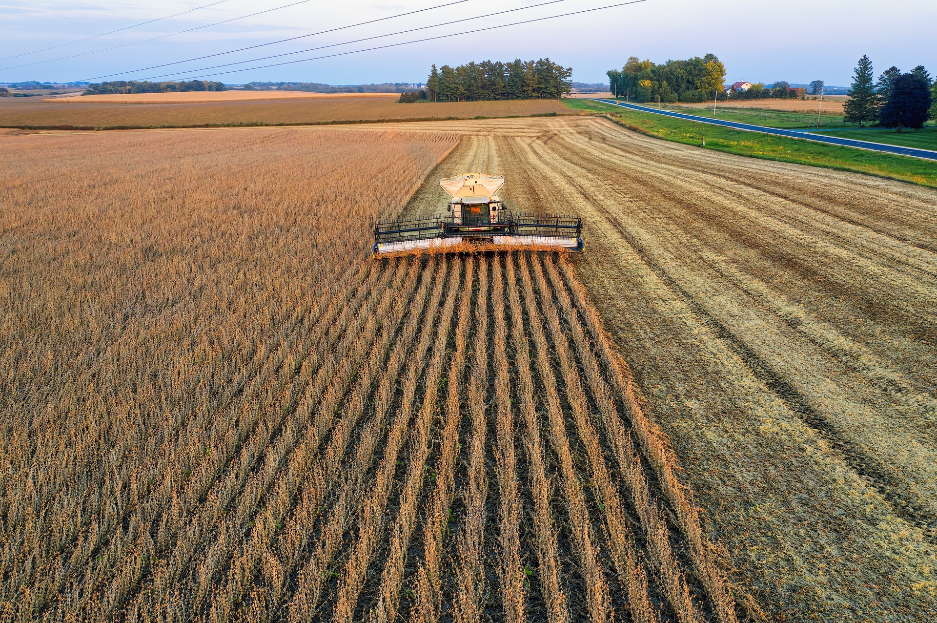 Organic soybean producers in U.S.