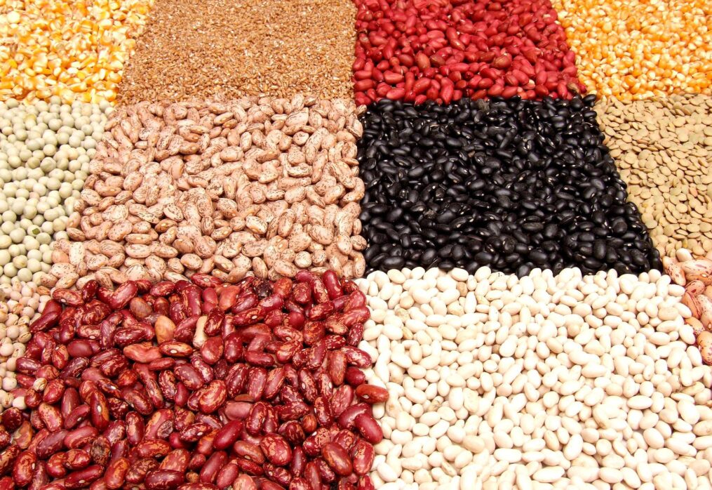 Egypt restricts pulses exports to cope with a food crisis