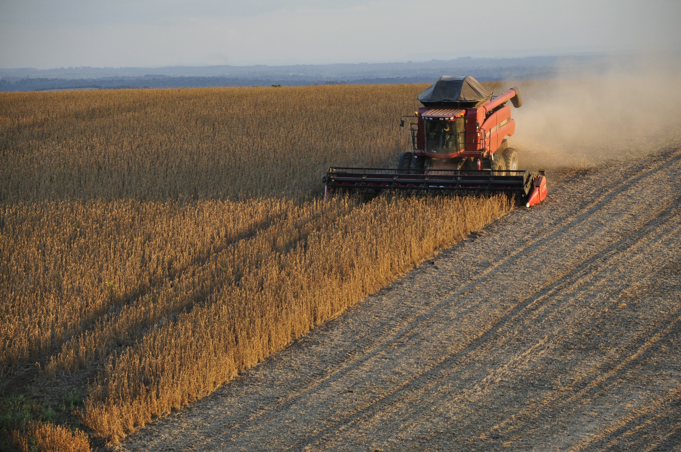 Grain exports from the European Union