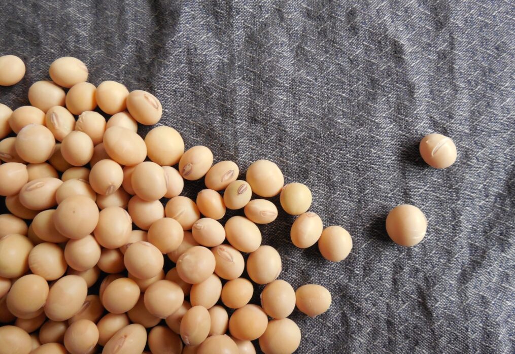 Gross soybean harvest rises on higher bean prices