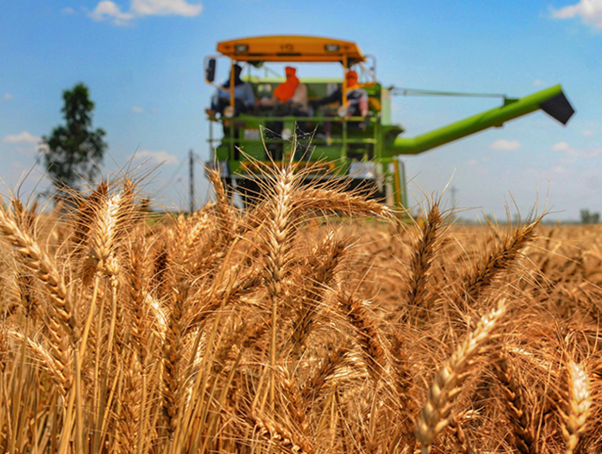 Farmers in Brazil-2