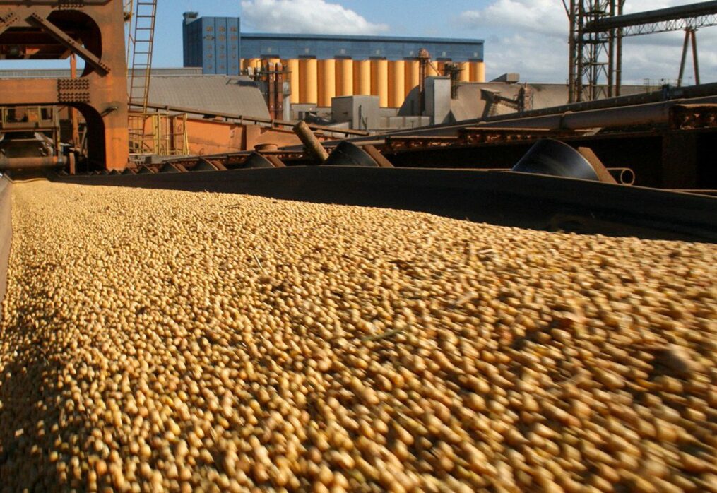 Reduction of soybean production in Kazakhstan: why local farmers refuse to grow oilseeds