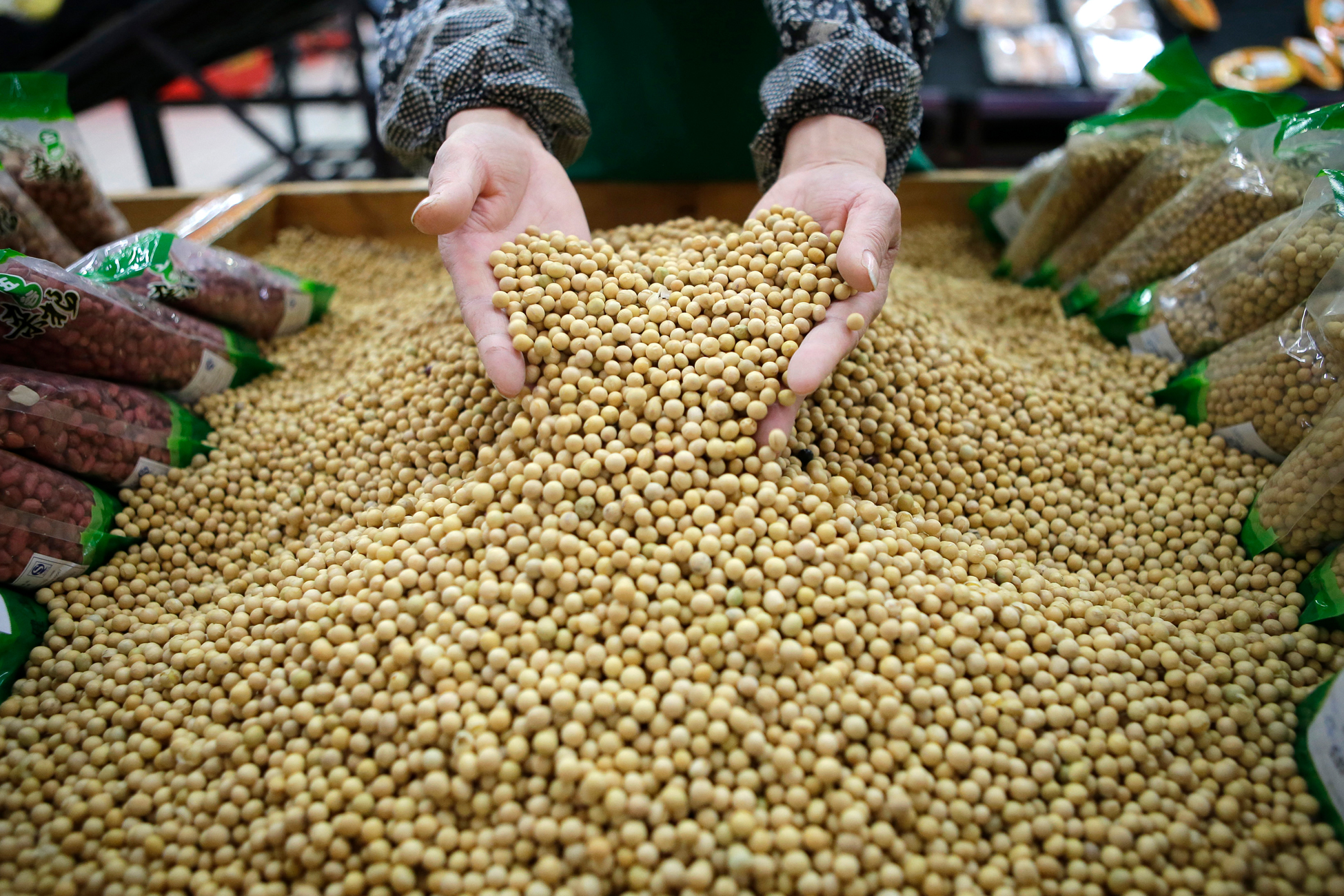 Reduction of soybean production in Kazakhstan