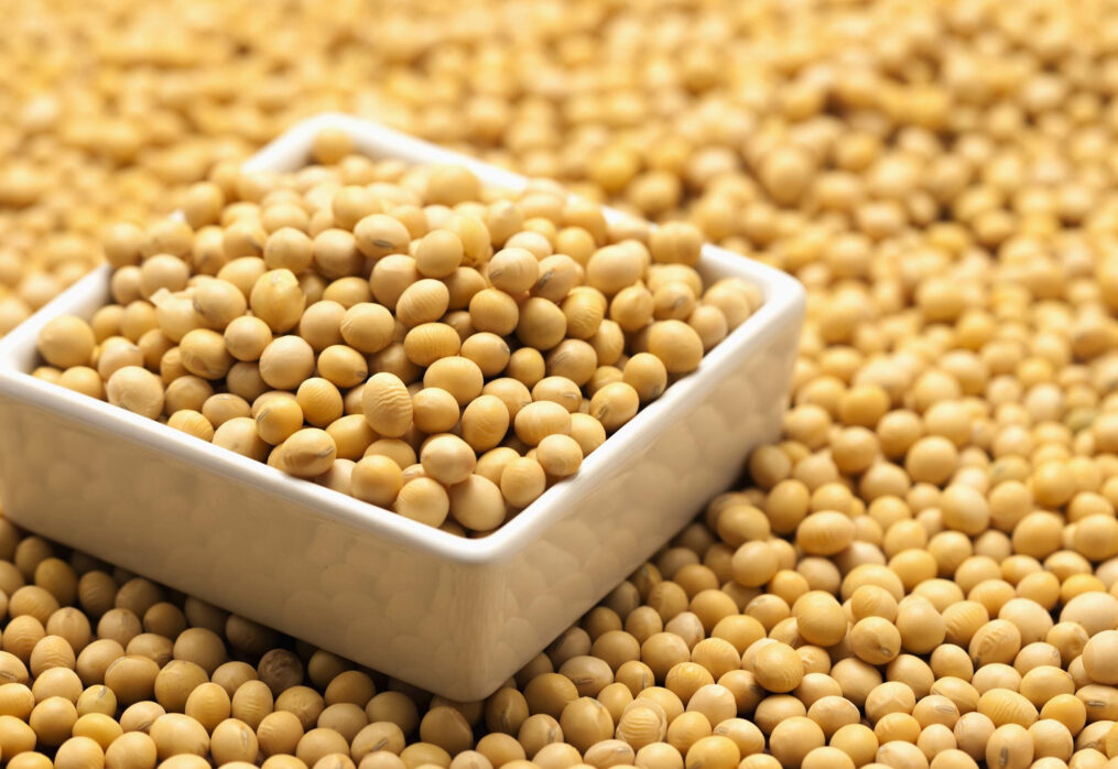 Brazil’s soybean exports will reach record highs in 2023