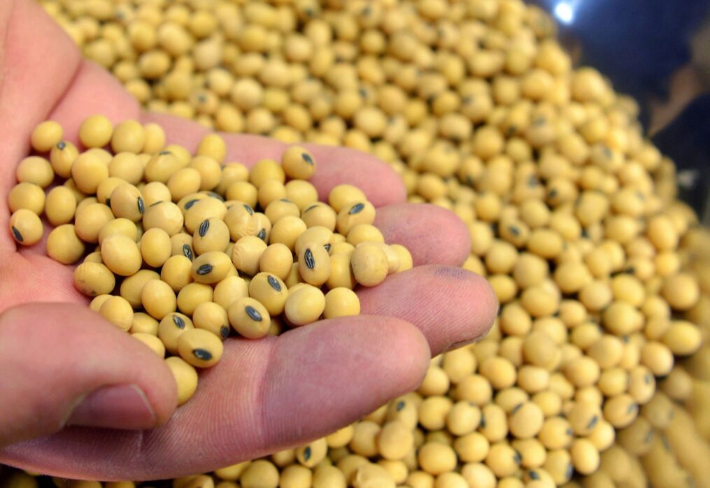 China increases soybean imports to replenish stocks