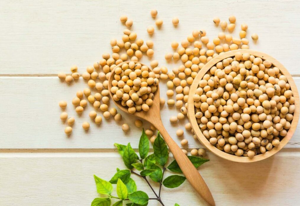 Brazilian soybeans could break past production records