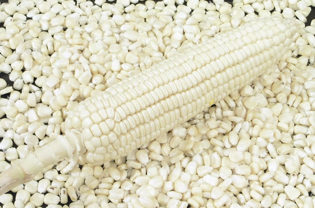 white corn exports-2