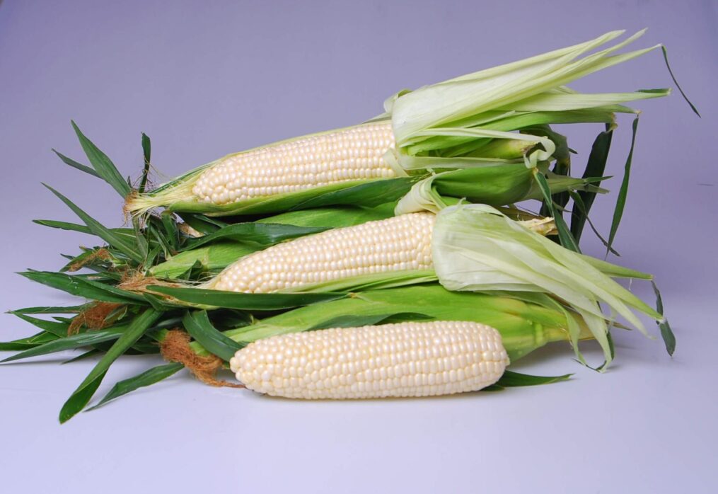 Mexico temporarily restricts exports of white corn