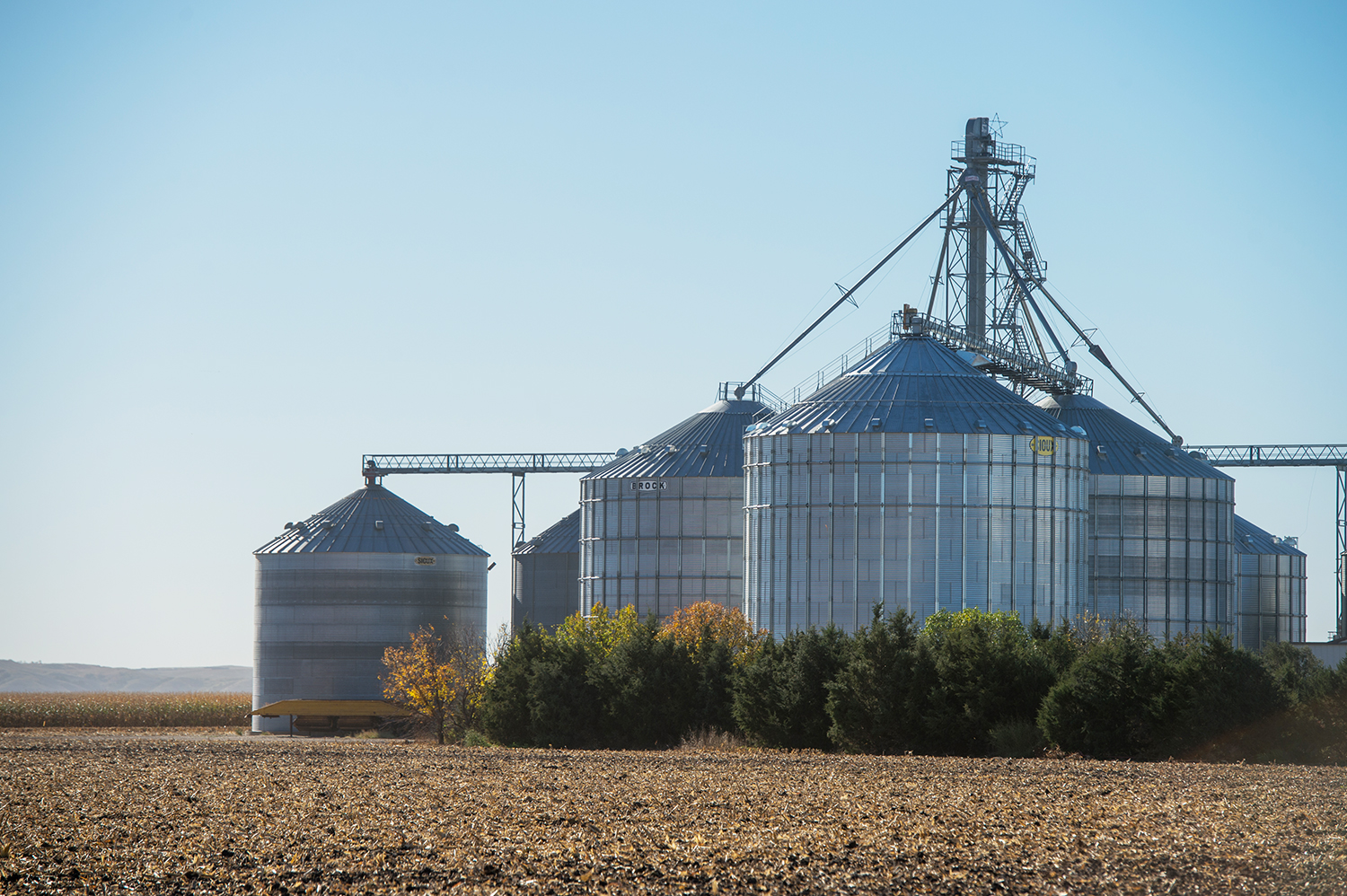 soybean harvest in Brazil