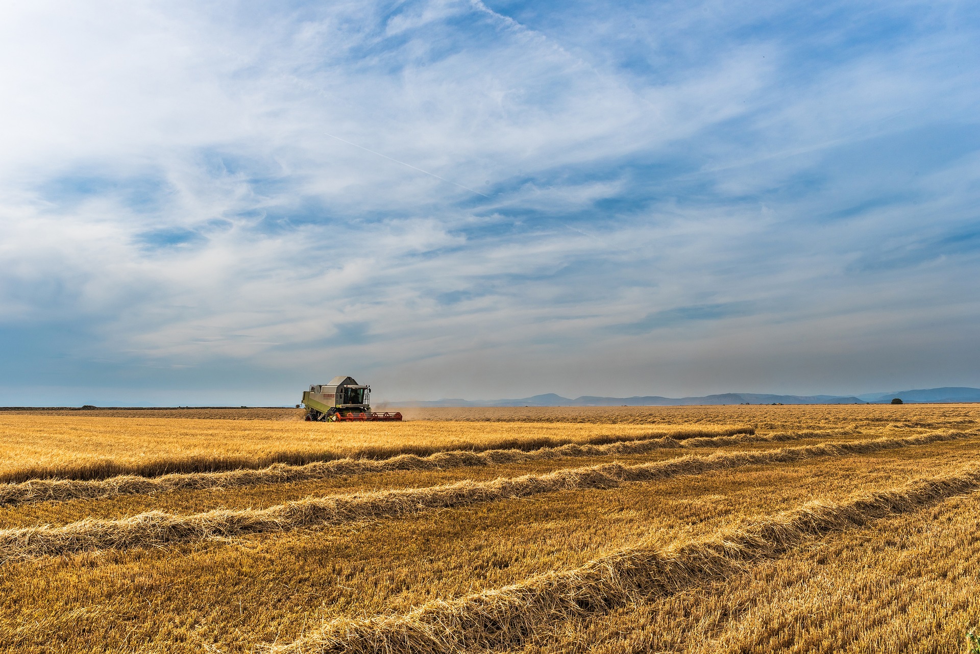 volume of grain in Brazil