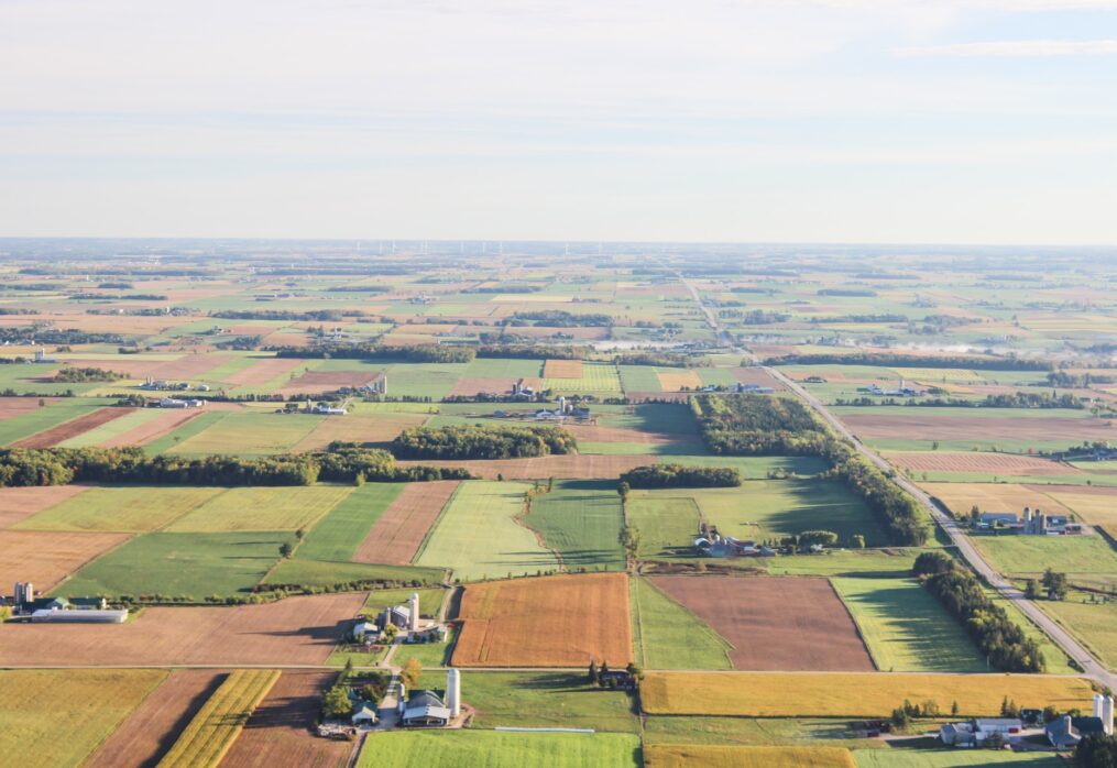 Canadian wheat production recovers from recession