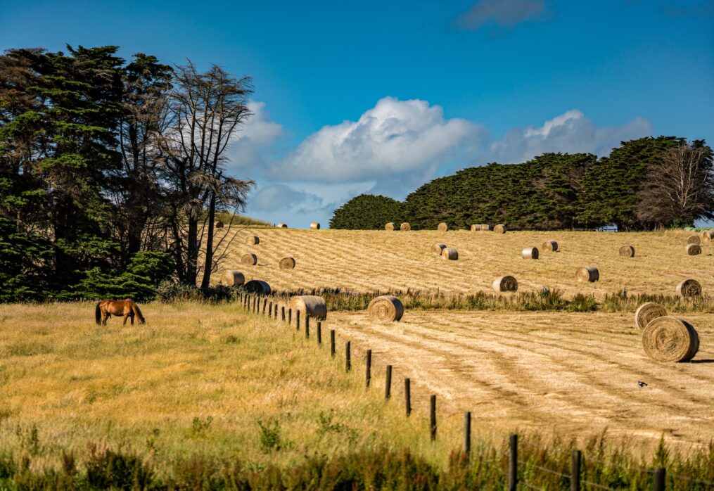 Australian agriculture expects record profits