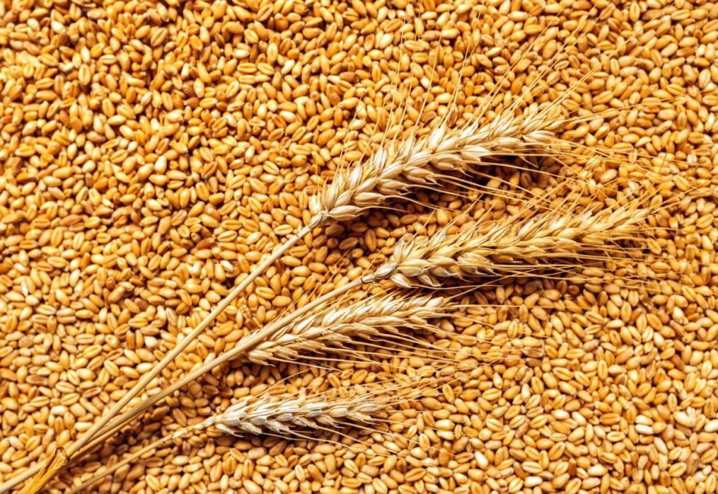 Saudi Arabia boosts grain storage capacity