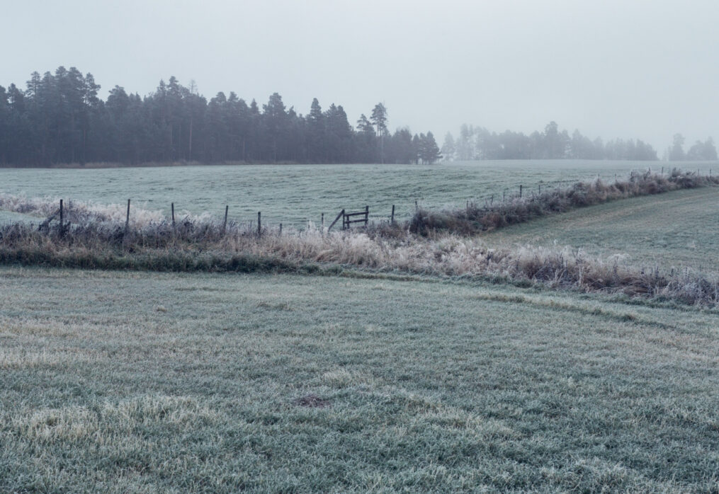 Australia’s winter crop production will fall: USDA forecast