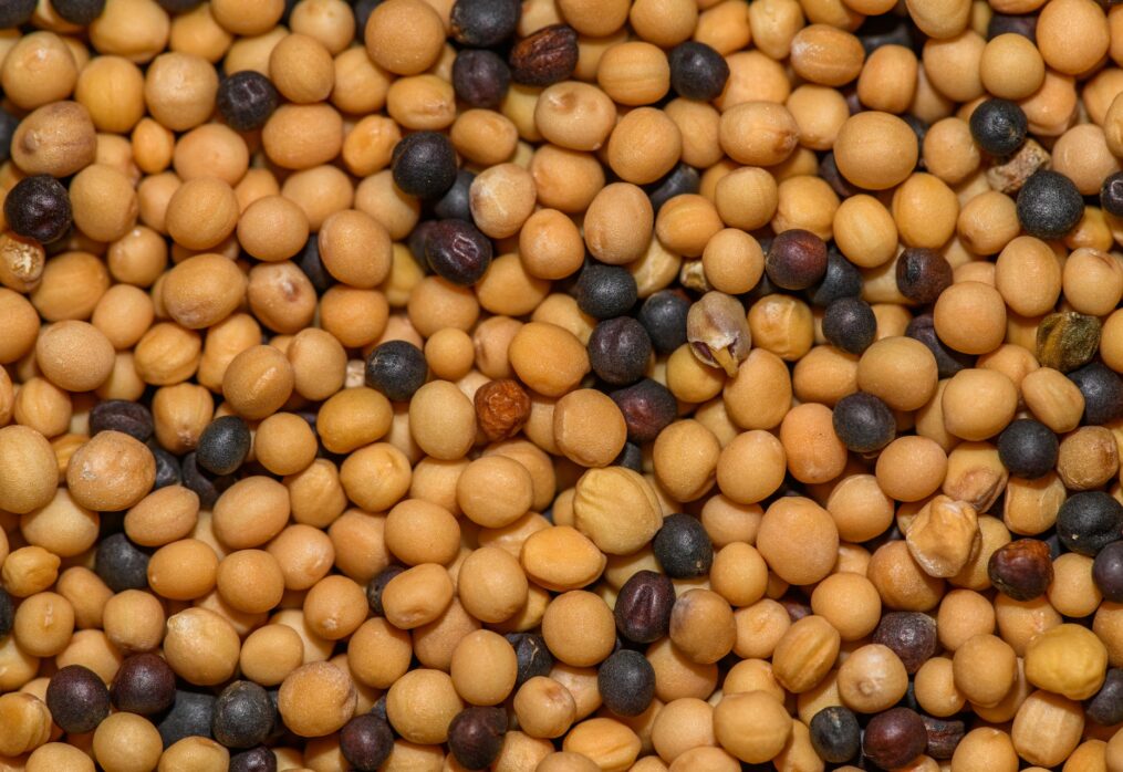 USDA: China’s demand for soybeans is low