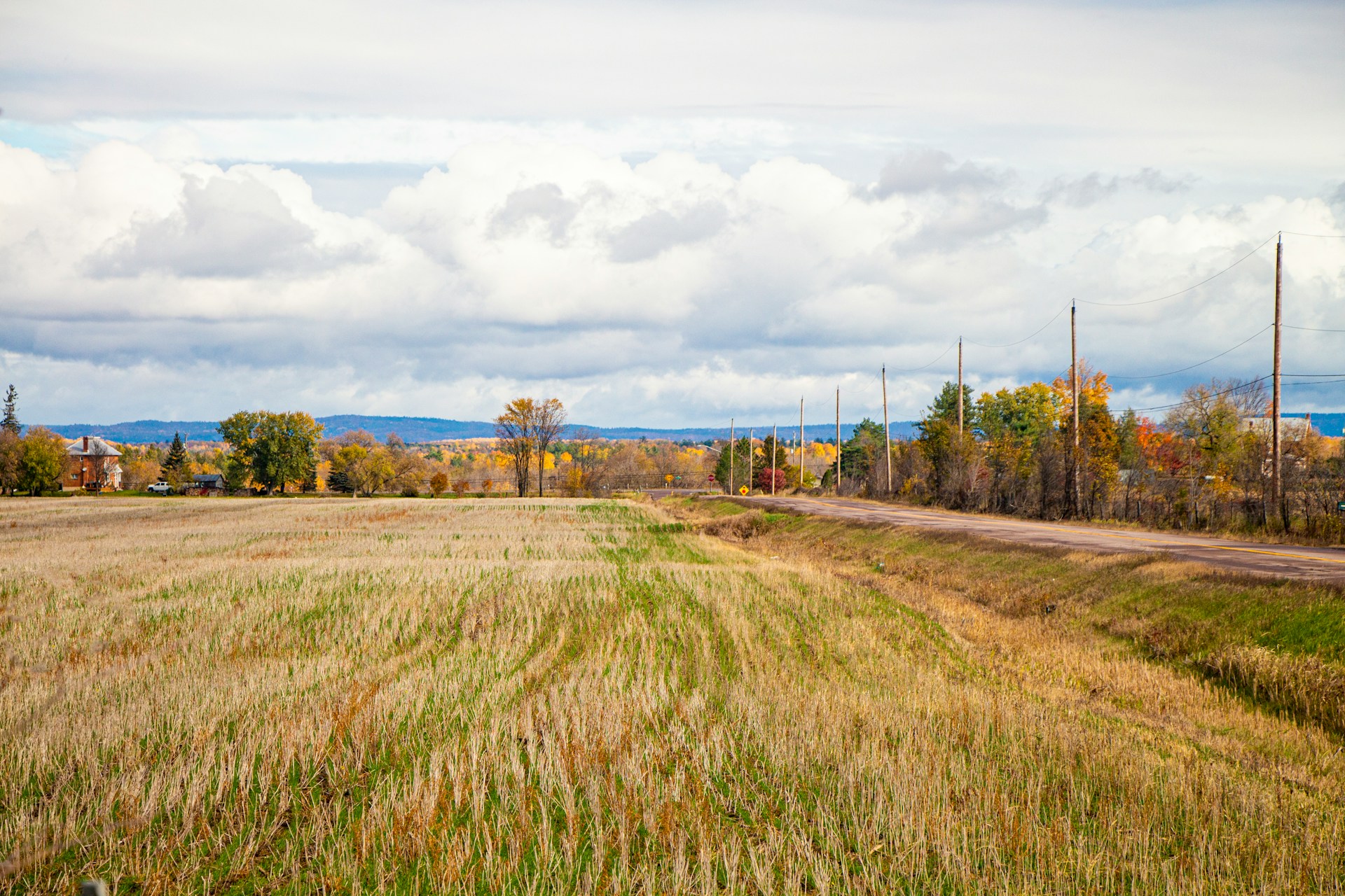 growing of grain legumes in Canada