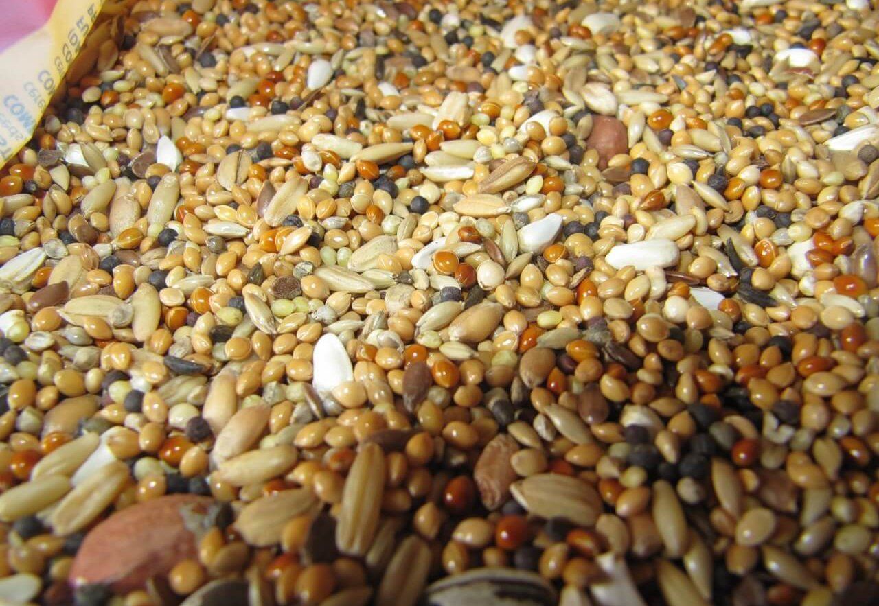 coarse grain production