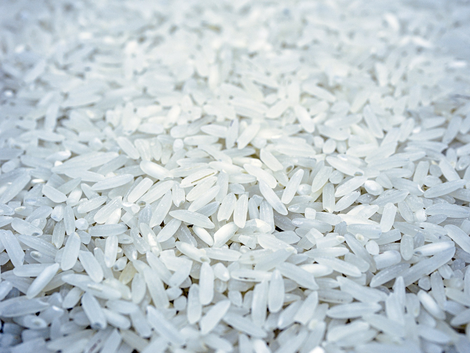 rice imports