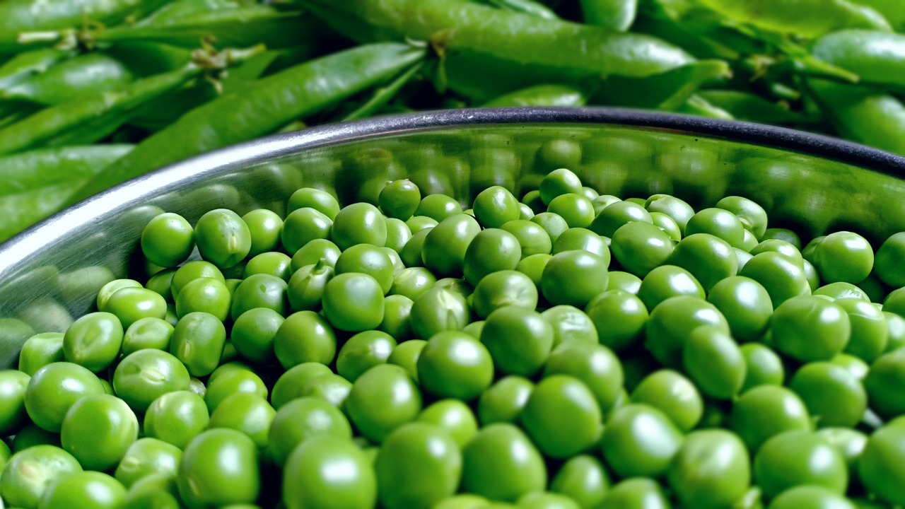 Mexican pea production