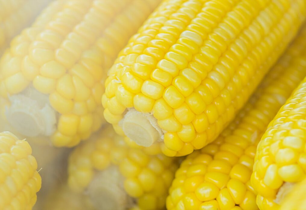 USGC experts assess the US corn quality