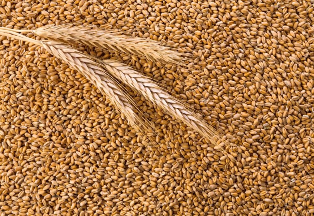 Indonesia’s wheat and rice imports forecast to decline