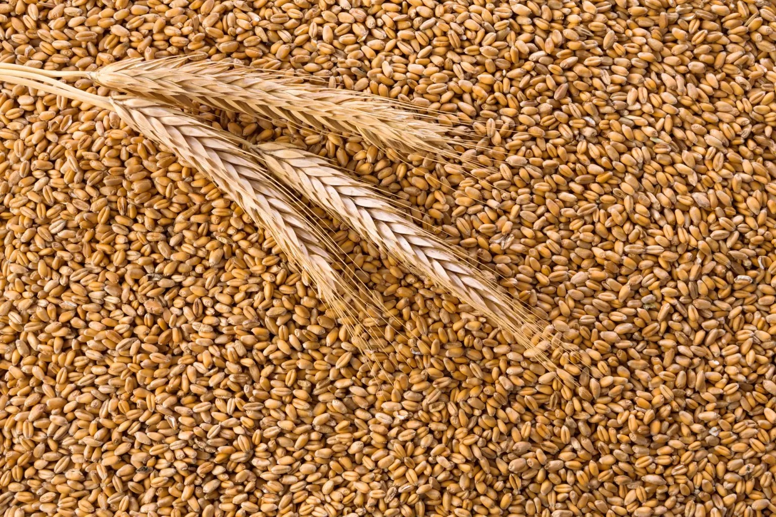 wheat imports decline