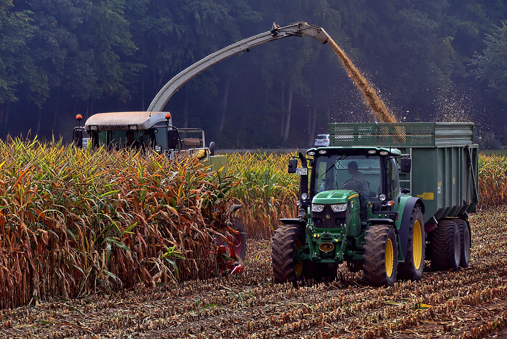 Thailand's corn production growth