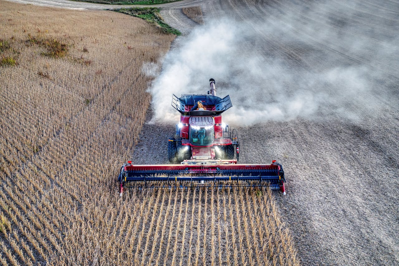 high oleic soybeans in US