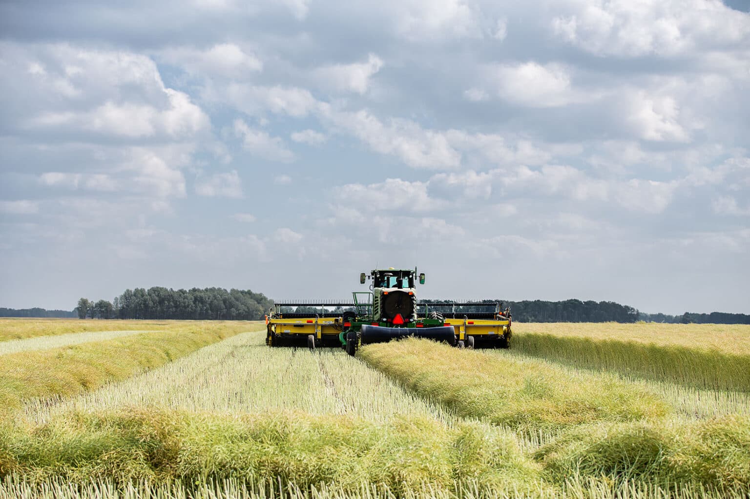 high winter crop in Australia