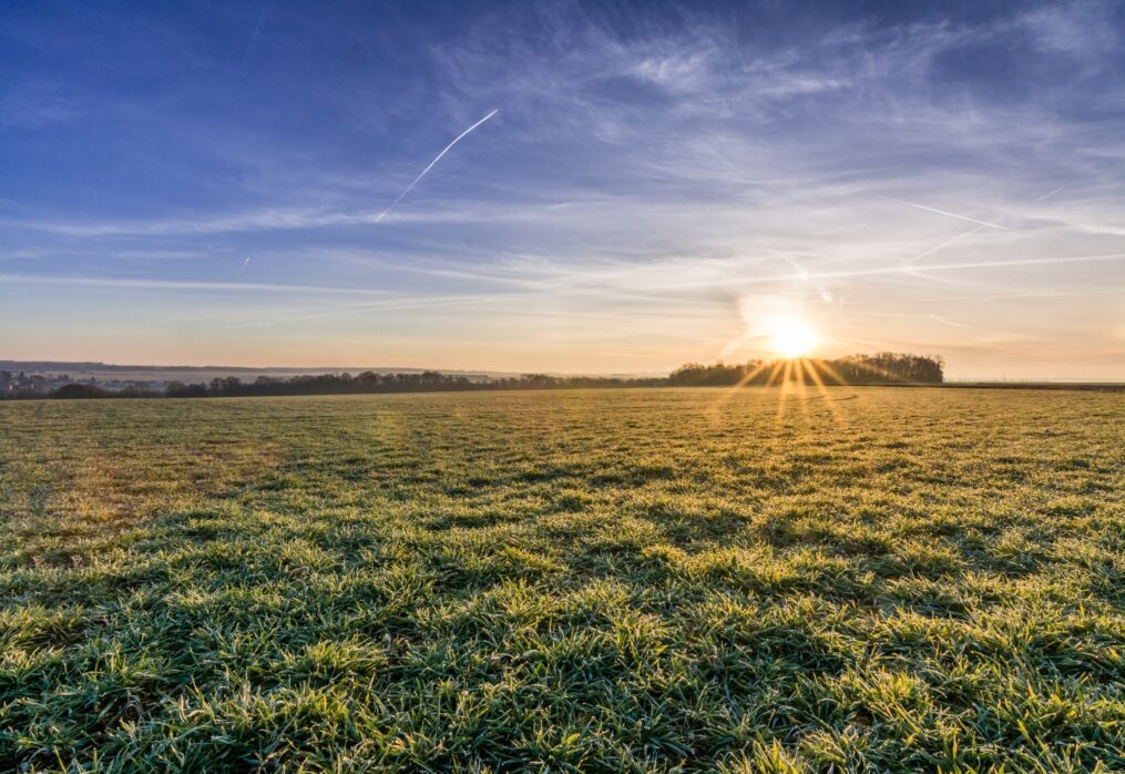 Farmers expect a high winter crop in Australia
