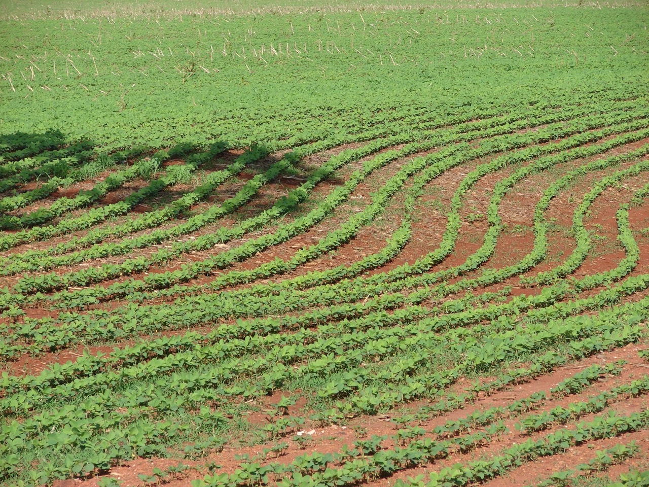 world's largest soybean exporter