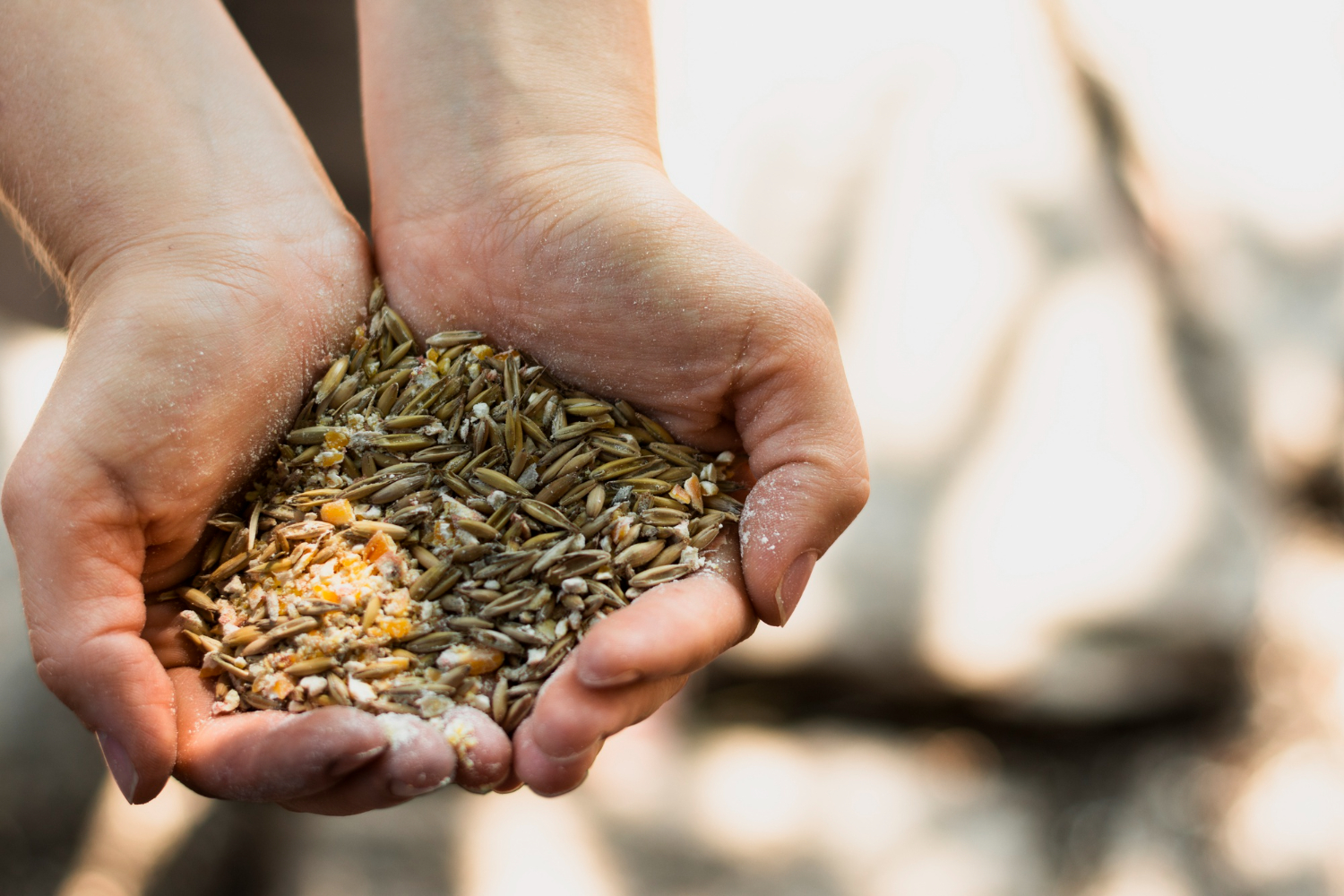 decline in grain yields EU