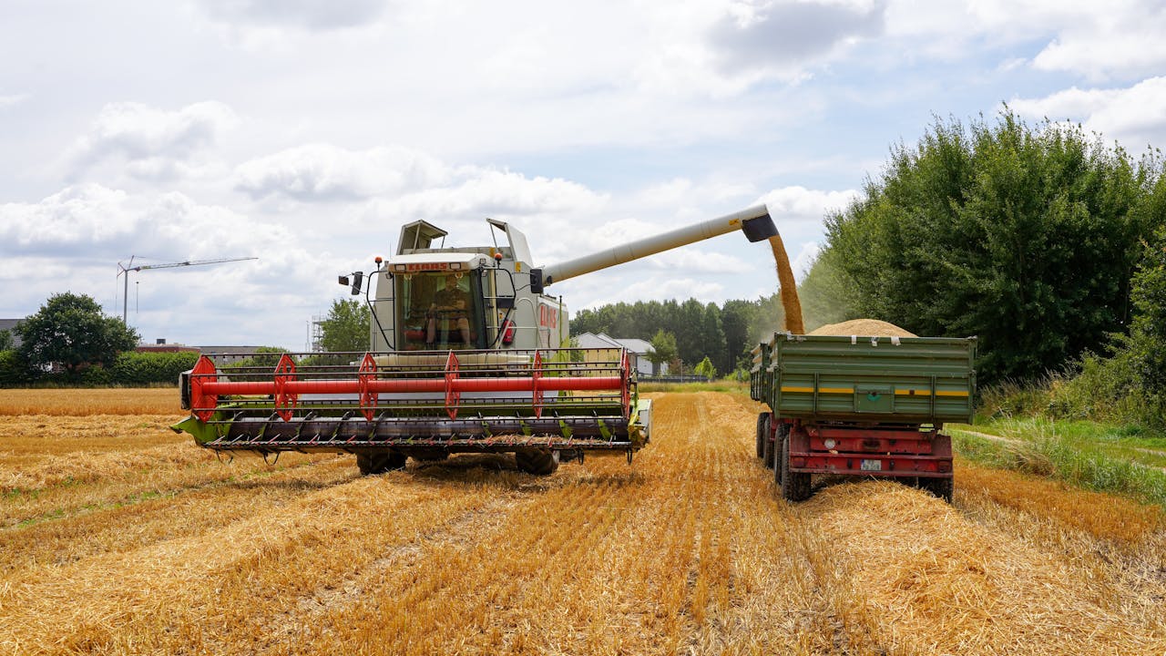 barley yields in Australia