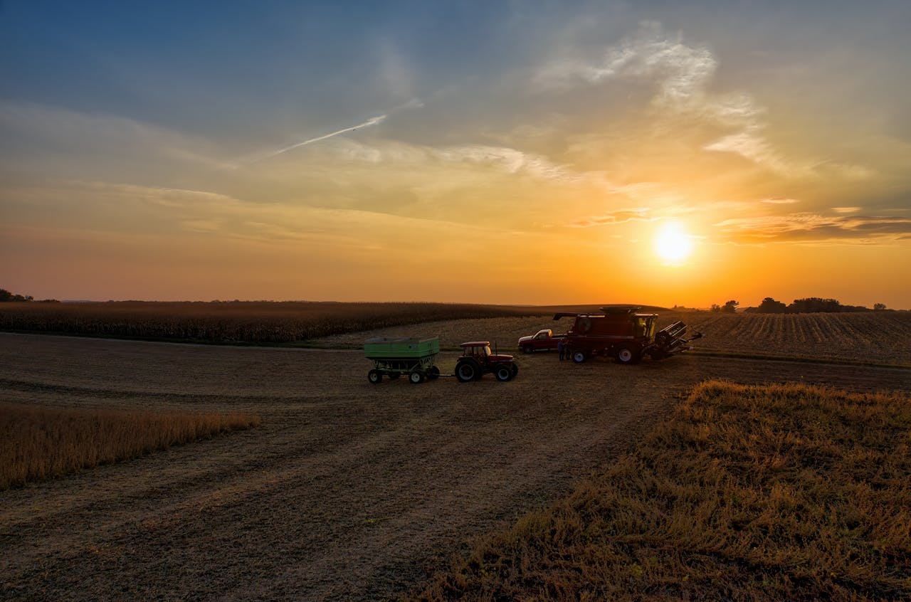 soybean harvest in Argentina