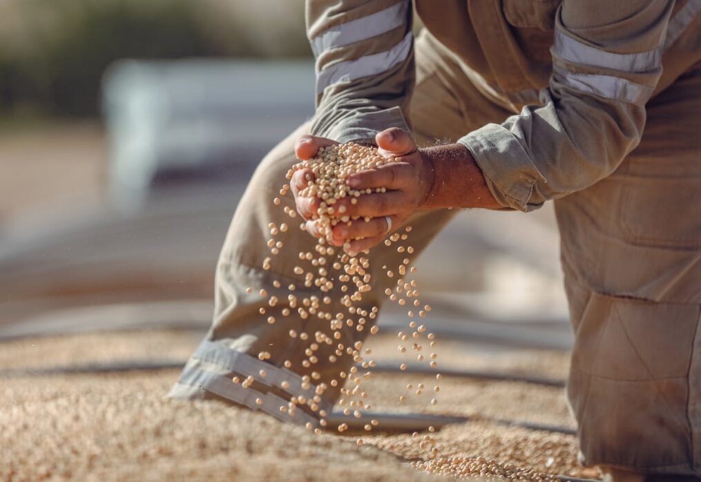 Vietnam is an important market for US soybeans