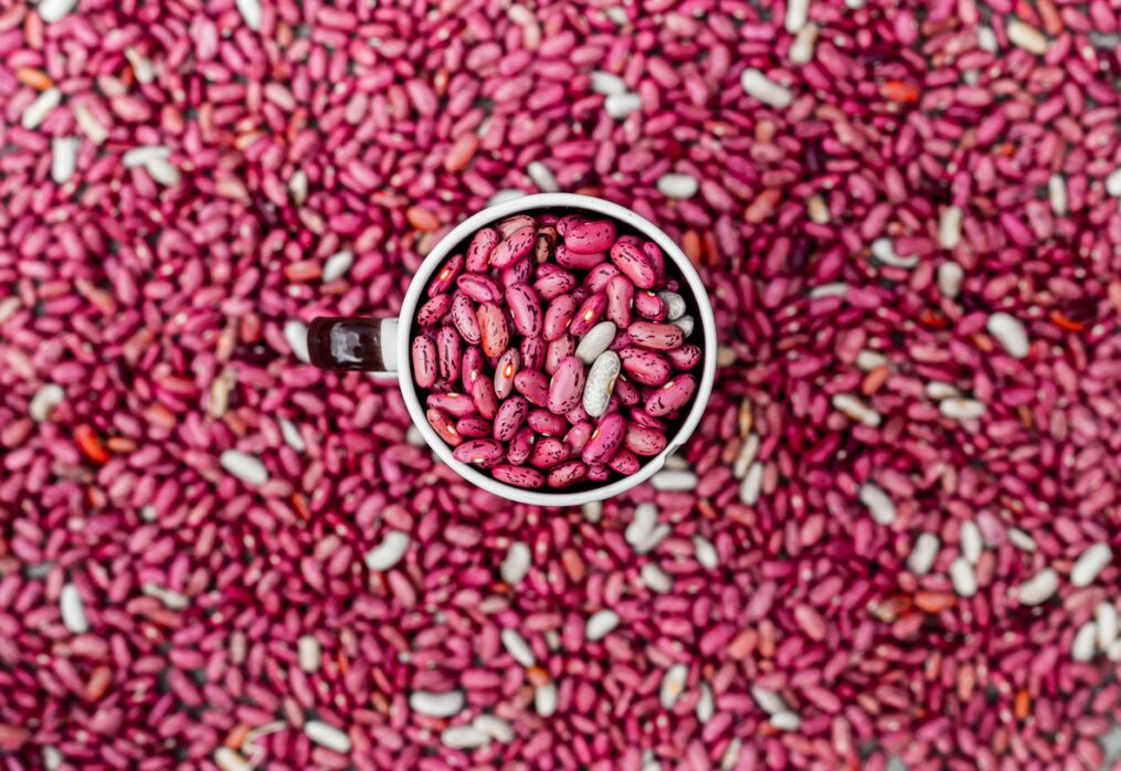 Foreign trade turnover of beans: analysis of Moldova’s export and import deliveries